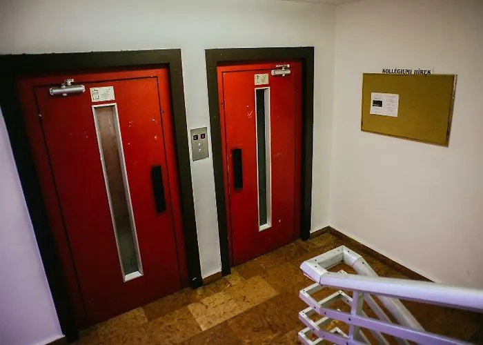 Hostel Pop Up - Downtown Budapeşte